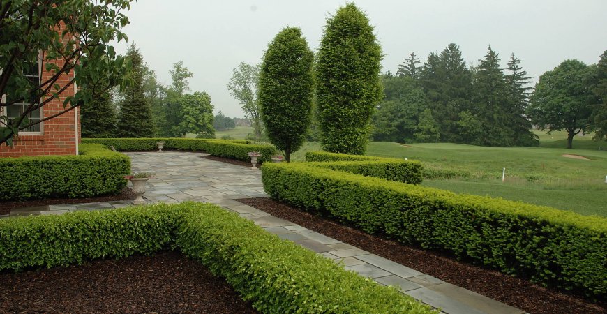 Уходовые работы за зелеными насаждениями